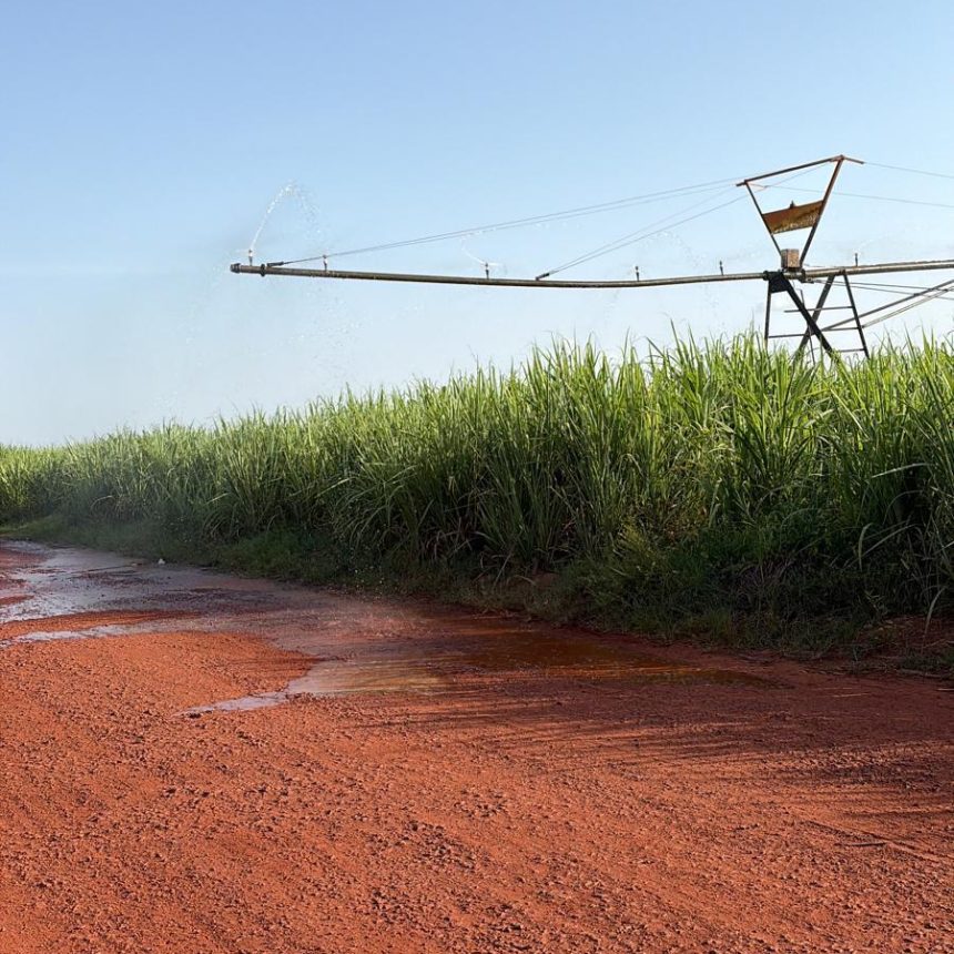 Burkina-Faso_SugarCane-Plantation-2026