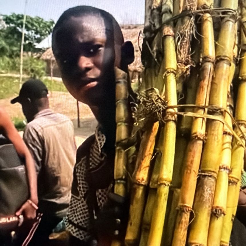 DRC KWILU PROVINCE BANDUNDU SUGAR PROJECT 2022